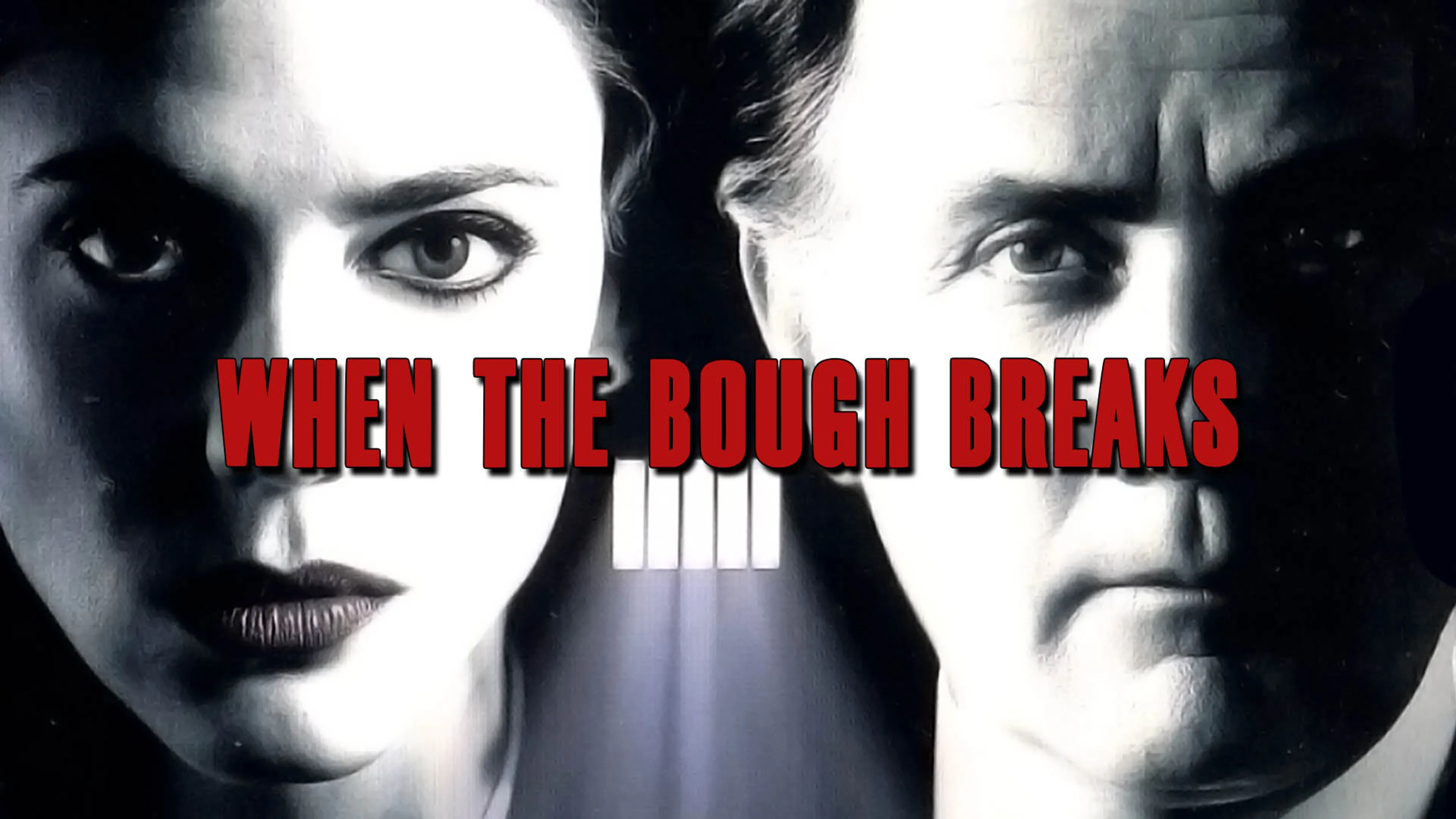 When the Bough Breaks poster